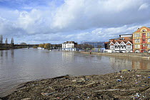 Landscape from upstream of Worcester Bridge during record breaking floods, with washed up debris, Worcestershire, England, UK, 13th February 2014.