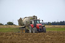 Agricultural tractor spreading manure, Breton Marsh, France, September.