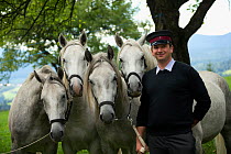 Piber Federal Stud employee with four Lipizzaner colts during the Almabtrieb when they move the horses from the Stubalpe mountains to their winter stable, near Koflach, Styria, Austria, September 2013...