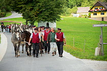 Piber Federal Stud employees leading Lipizzaner colts from the Stubalpe mountains to their winter stable, near Koflach, Styria, Austria, September 2013. Editorial use only.
