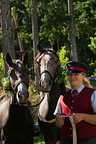 Piber Federal Stud employee leading two Lipizzaner colts from the Stubalpe mountains to their winter stable, near Koflach, Styria, Austria, September 2013. Editorial use only.