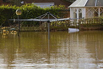 Washing line in flooded garden during February 2014 floods, Upton upon Severn, Worcestershire, England, UK, 9th February 2014.
