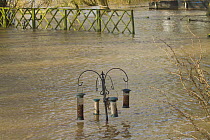 Bird feeders in garden almost submerged during February 2014 floods, Upton upon Severn, Worcestershire, England, UK, 8th February 2014.