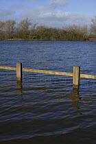 Flooded caravan site during February 2014 floods from River Severn, Upton upon Severn, Worcestershire, England, UK, 8th February 2014.