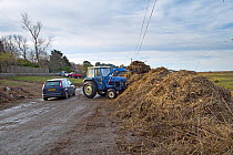 Tractor clearing tidal wrack and debris from a road after the 6 December east coast tidal surge, Salthouse, Norfolk, England, UK, December 2013.