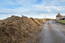 Piles of tidal wrack and debris next to a cleared road after the 6 December east coast tidal surge, Salthouse, Norfolk, England, UK, December 2013.