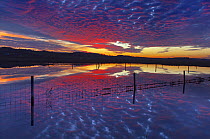 Sunset reflected in a tidal pool, Salthouse, Norfolk, England, UK, November.