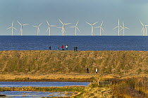 View looking towards Sherringham Shoal Windfarm, with Cley Marshes NWT reserve in the foreground, Norfolk, England, UK, November 2013.