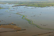 Aerial view of River Parrett with clearly defined banks / levees , during January 2014 flooding, Somerset Levels, England, UK, 9th January 2014.