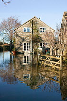 Old cottage flooded by January 2014 Somerset Levels floods, Muchelney village, England, UK, 11th January 2014.