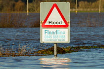 Flood warning sign during January 2014 flooding, Somerset Levels, England, UK, 9th January 2014.