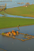 Home flooded during January 2014 flooding, Somerset Levels, England, UK, 9th January 2014.