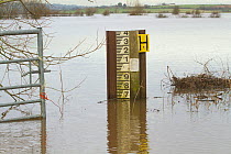 Flood marker during January 2014 flooding, Somerset Levels, England, UK, 10th January 2014.
