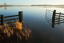 Farm gate reflected in waters of January 2014 floods, West Sedgemoor RSPB Nature Reserve, Somerset Levels, England, UK, 11th January 2014.