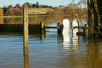 Footpath and cycleway signs during January 2014 flooding, Langport, Somerset, UK, England, UK, 11th January 2014.