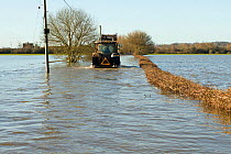 Tractor traversing floods around Muchelney, during January 2014 flooding, Somerset Levels, England, UK, 11th January 2014.