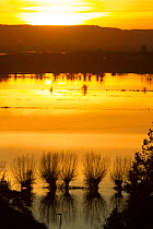 Flooded Somerset Levels at sunset, looking west from Burrows Mump during January 2014 floods, Somerset Levels, England, UK, 11th January 2014.