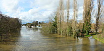 River Thames in flood with houseboats, seen from Walton Bridge, Weybridge, Surrey, England, UK, 10th February 2014.