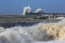 Waves breaking over lighthouse at Newhaven Harbour wall viewed from Seaford, Sussex, England, UK, 15th February 2014.