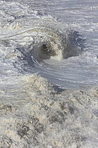 Foaming crashing wave at Birling Gap, Sussex, England, UK, 15th February 2014.