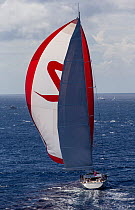 Mega yacht with red spinnaker racing during the 2013 St. Barths Bucket Regatta, Caribbean, March 2013. All non-editorial uses must be cleared individually.