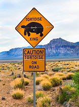 Tortoise crossing sign, Red Rock Canyon, Clark County, Nevada, USA, March 2013.