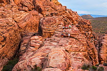 Tourists climbing around rocky landscape in Red Rock Canyon, Clark County, Nevada, USA, March 2013.