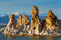 Rock formations at Mono Lake saline soda lake, Mono County, California, USA, March 2013.
