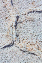 Patterns in the salt pands of the Badwater basin, Death Valley National Park, California, USA, March 2013.