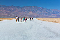 Tourists exploring Badwater basin, Death Valley National Park, California, USA, March 2013.