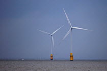 Wind turbines, Norfolk, England, UK, October.