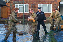 Army and police in flooded street after February 2014 flooding, helping to provide support for the residents and supplying sand bags, Chertsey, Surrey, England, UK, 16th February 2014.