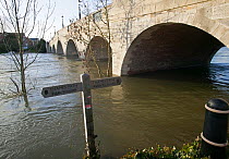 Thames Path sign and Chertsey Bridge during February 2014 flooding, Chertsey, Surrey, England, UK, 16th February 2014.