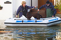 Resident with dog being rescued from home in RIB during February 2014 floods, Sunbury on Thames, Surrey, England, UK, 15th February 2014.
