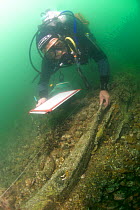 Maritime archaelogist Garry Momber with wooden spar possibly from HMS Pomone, The Needles, Western Solent, England, UK, August 2013.