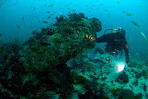 Todd Stevens on one of the 32lb guns from the wreck of HMS Colossus, Isles of Scilly, England, August 2013.