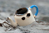 Discarded metal teapot found on the south beach, Sea Lion Island, The Falklands.