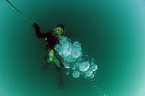 Diver Ron Howse ascending the shot line in Lyme Bay, off Portland Bill, Dorset, England, UK, September 2010. Model released.