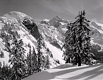Black and white photograph of Mount Shuksan in the winter as seen from Austin Pass, Heather Meadows Recreation Area, Washington, USA.