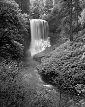 Black and white photograph of the Middel North Falls in Silver Falls State Park, Oregon, USA.