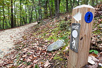 The Grindstone Trail, part of the Mountain-To-Sea trail, in Pilot Mountain State Park. North Carolina, USA, October 2013.