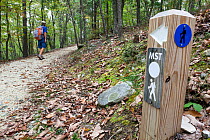 Hiker on the Grindstone Trail, part of the Mountain-To-Sea trail, in Pilot Mountain State Park. North Carolina, USA, October 2013. Model released.