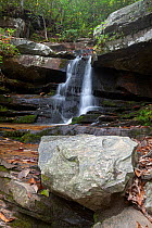 Hidden Falls, Hanging Rock State Park. The Falls are part of the Mountains-to-Sea State Trail. North Carolina, USA, October 2013.