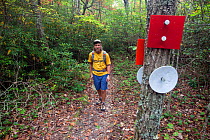 Man walking on Indian Creek Trail part of the Mountain-to-Sea Trail in Hanging Rock State Park. North Carolina, USA, October 2013. Model released.
