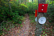 Trail sign markers along Indian Creek Trail part of the Mountain-to-Sea Trail in Hanging Rock State Park. North Carolina, USA, October 2013.