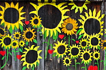 Sunflowers painted on  barn wall,  along State Highway, Bat Cave, Henderson County. North Carolina, USA, October 2013.