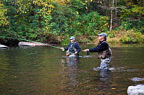 Dick Manrow and Alan McDonald fishing below Hooker Falls in DuPont State Forest, Transylvania County. North Carolina, USA, October 2013. Model released.