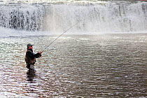 Dick Manrow fishing below Hooker Falls in the DuPont State Forest, Transylvania County. North Carolina, USA, October 2013. Model released.