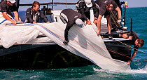 Crew lifting spinnaker out of the water during the 2013 Key West Race Week, Florida. All non-editorial uses must be cleared individually.