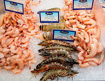Fresh seafood at a market during the 2013 Key West Race Week, Florida. All non-editorial uses must be cleared individually.